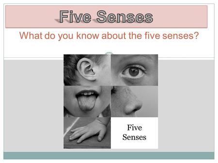 What do you know about the five senses?. Five Senses (Tune: Where is Thumbkin) Five senses, five senses We have them. We have them. Seeing, hearing, touching,