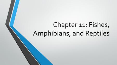 Chapter 11: Fishes, Amphibians, and Reptiles