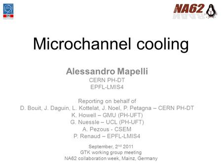 Microchannel cooling Alessandro Mapelli CERN PH-DT EPFL-LMIS4 Reporting on behalf of D. Bouit, J. Daguin, L. Kottelat, J. Noel, P. Petagna – CERN PH-DT.