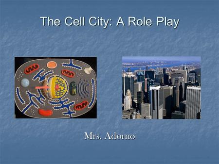 The Cell City: A Role Play Mrs. Adorno. Do Now : Why do you think these cells look so different from one another?