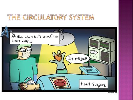  Functions  Transport system nutrients from digested food  all body cells oxygen from the lungs  all body cells metabolic wastes (CO 2 )  organs.