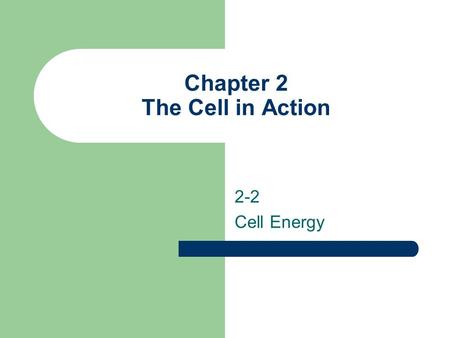 Chapter 2 The Cell in Action