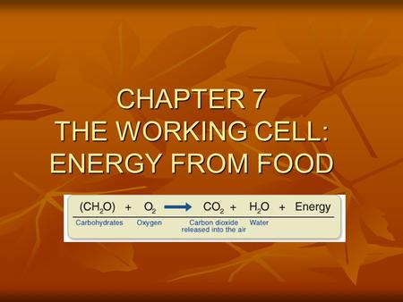 CHAPTER 7 THE WORKING CELL: ENERGY FROM FOOD