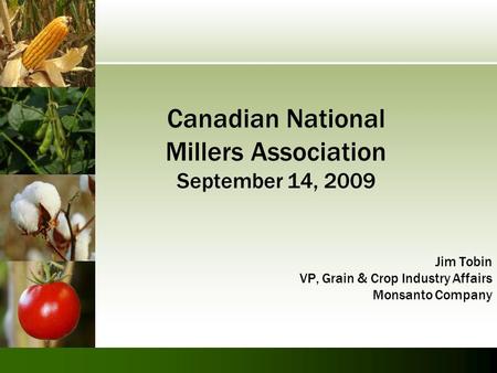 Canadian National Millers Association September 14, 2009 Jim Tobin VP, Grain & Crop Industry Affairs Monsanto Company.