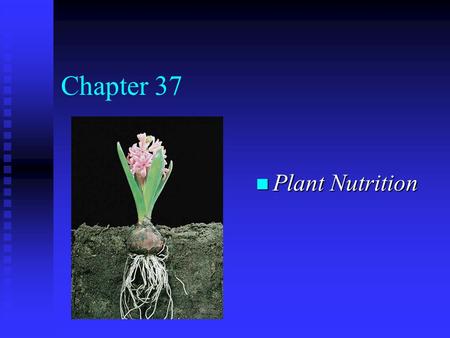 Chapter 37 n Plant Nutrition. Nutrients n Essential: not made by the plant but required for the plant life cycle n Macro- (large amounts) carbon, oxygen,