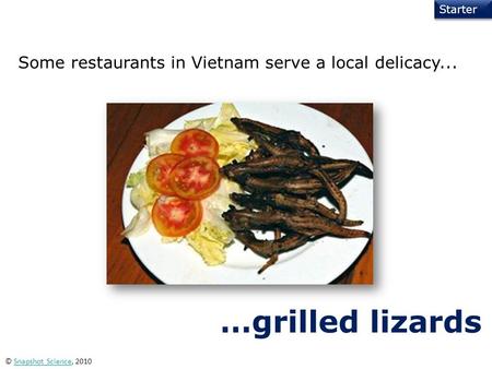 Starter © Snapshot Science, 2010Snapshot Science Some restaurants in Vietnam serve a local delicacy... …grilled lizards.