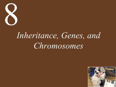 Inheritance, Genes, and Chromosomes 8. Chapter 8 Opening Question How is hemophilia inherited through the mother, and why is it more frequent in males?