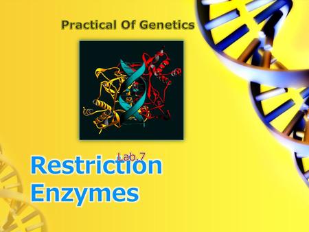 Objectives: Introduce the students to digest genomic DNA by restriction endonucleases. Observe the results of digestion on agarose gel electrophoresis.