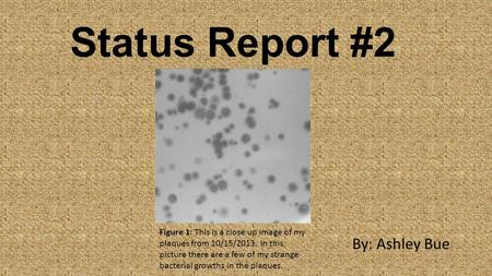 Status Report #2 By: Ashley Bue Figure 1: This is a close up image of my plaques from 10/15/2013. In this picture there are a few of my strange bacterial.