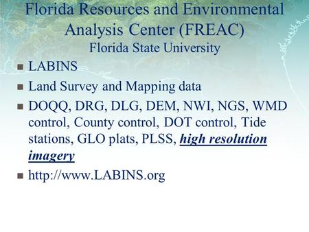 Florida Resources and Environmental Analysis Center (FREAC) Florida State University LABINS Land Survey and Mapping data DOQQ, DRG, DLG, DEM, NWI, NGS,