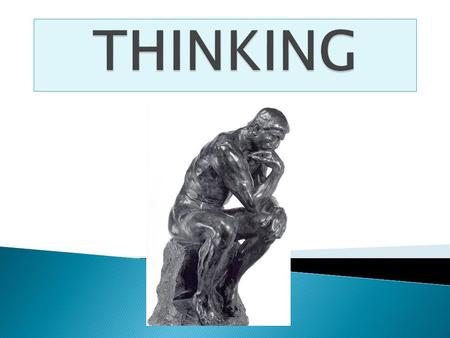  All thoughts (mental depictions of objects, events, or ideas) are broken down into individual units or parts.  There are four basic units of thought.