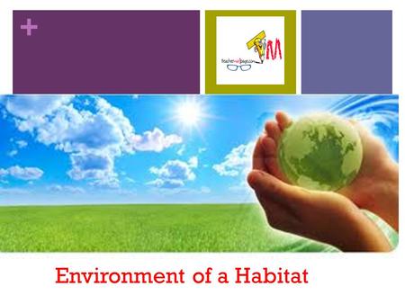 + Environment of a Habitat. + What is a habitat? A habitat is a place where an organism lives. We call it home. There is food, water and air in a habitat.