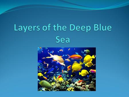 How many layers do you think the ocean has? The ocean has exactly 5 layers!