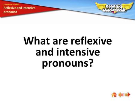 What are reflexive and intensive pronouns?