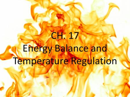 CH. 17 Energy Balance and Temperature Regulation.