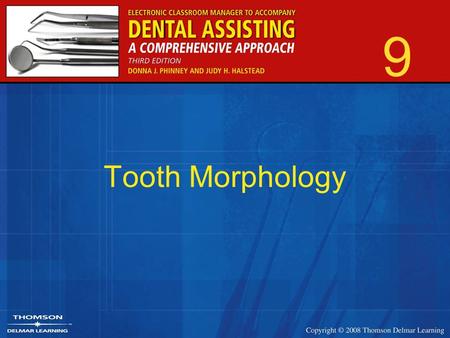 9 Tooth Morphology.