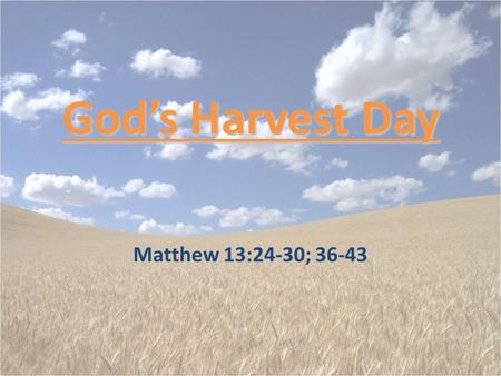 God’s Harvest Day Matthew 13:24-30; 36-43. Facts About The Parable The plant we refer to as “tares” is more properly known as bearded darnel. – It is.