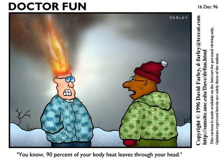 Factors Affecting RXN Rates Nature of Reactants Temperature Concentration Surface Area Catalysts/ Inhibitors.