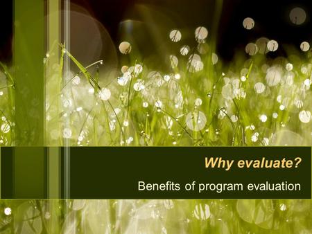 Why evaluate? Benefits of program evaluation. YD as EVAL: Webinar Agenda Why evaluate? So what is evaluation? How does evaluation fit youth development?