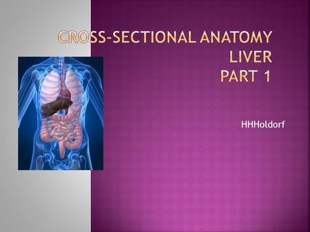 HHHoldorf.  Portal Vein: Collects blood from the digestive tract and empties into the liver and is formed by the junction of the splenic vein and.