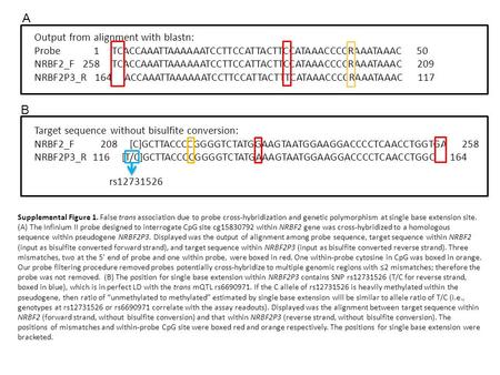 Supplemental Figure 1. False trans association due to probe cross-hybridization and genetic polymorphism at single base extension site. (A) The Infinium.