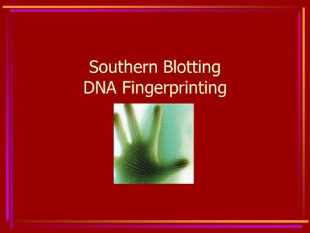 Southern Blotting DNA Fingerprinting. Southern Blot A Southern Blot identifies specific sequences of DNA A Southern Blot may be used to determine a DNA.