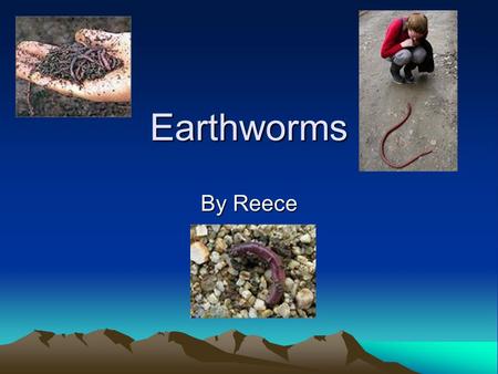 Earthworms By Reece. How do earthworms help the earth? Earthworms contribute to the growth of plants. Earthworms are a food source for birds. Earthworms.