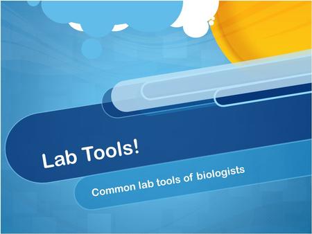 Lab Tools! Common lab tools of biologists. Beaker.