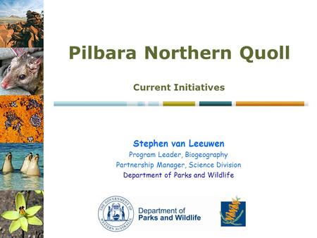 Stephen van Leeuwen Program Leader, Biogeography Partnership Manager, Science Division Department of Parks and Wildlife Pilbara Northern Quoll Current.