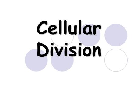 Cellular Division.