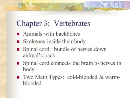 Chapter 3: Vertebrates Animals with backbones