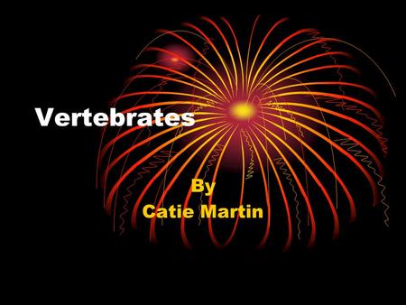 Vertebrates By Catie Martin Vertebrates  Mammals  Birds  Fish  Reptiles  Amphibians.