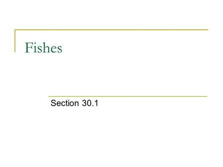 Fishes Section 30.1.