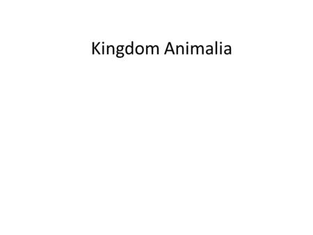 Kingdom Animalia. Animals Multi-celled Use mitochondria to make energy (cell respiration) Reproduce sexually (few asexual) Motile – able to move.