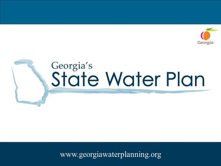 Www.georgiawaterplanning.org. High Altitude View of ACF Regional Water Plans.