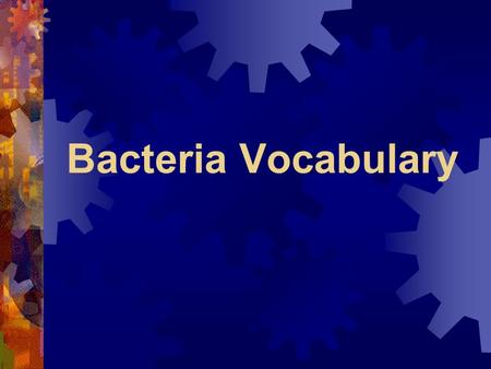 Bacteria Vocabulary. Kingdom Bacteria:  Eubacteria: