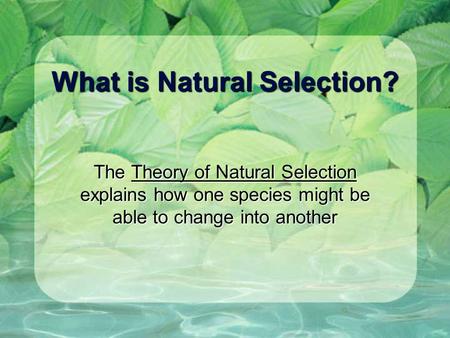 What is Natural Selection? The Theory of Natural Selection explains how one species might be able to change into another.