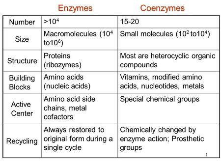 1 Number >10 4 15-20 Size Macromolecules (10 4 to10 6 ) Small molecules (10 2 to10 4 ) Structure Proteins (ribozymes) Most are heterocyclic organic compounds.