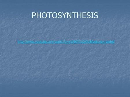 PHOTOSYNTHESIS