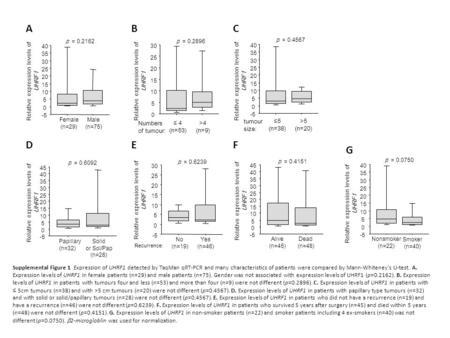 Supplemental Figure 1 Expression of UHRF1 detected by TaqMan qRT-PCR and many characteristics of patients were compared by Mann-Whiteney’s U-test. A. Expression.