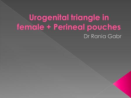 Urogenital triangle in female + Perineal pouches