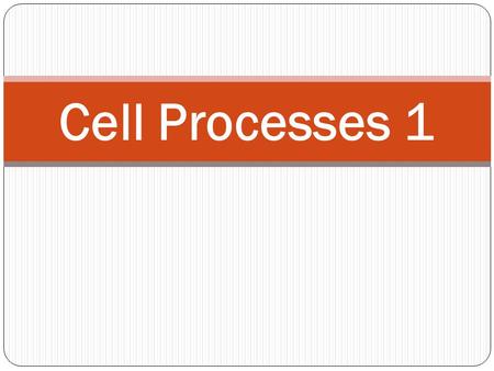 Cell Processes 1. GET OUT HOMEWORK Do Now: How can you smell perfume that someone sprays from across the room???? Brainstorm!! Homework: Activity sheet.