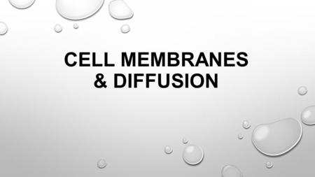 CELL MEMBRANES & DIFFUSION MIXTURE TWO OR MORE ELEMENTS THAT ARE PHYSICALLY MIXED TOGETHER.