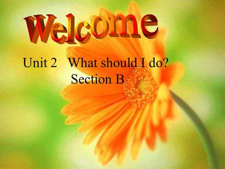 Unit 2 What should I do? Section B. What’s my favorite fruit? What’s my hobby? What do I often buy? What color do I like best? Pink.