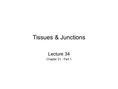 Tissues & Junctions Lecture 34 Chapter 21 - Part 1.