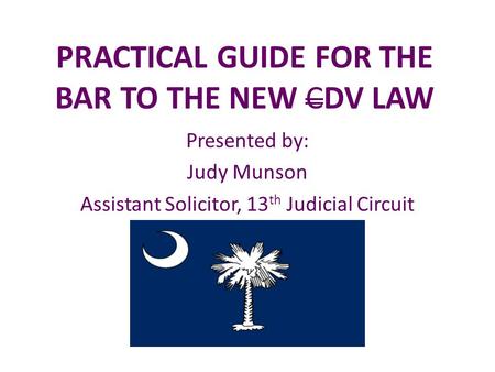 PRACTICAL GUIDE FOR THE BAR TO THE NEW CDV LAW Presented by: Judy Munson Assistant Solicitor, 13 th Judicial Circuit.