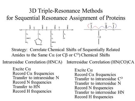 3D Triple-Resonance Methods for Sequential Resonance Assignment of Proteins Strategy: Correlate Chemical Shifts of Sequentially Related Amides to the Same.