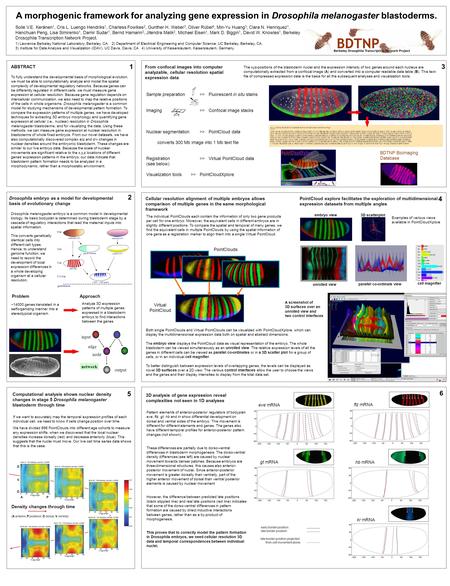 A morphogenic framework for analyzing gene expression in Drosophila melanogaster blastoderms. Soile V.E. Keränen 1, Cris L. Luengo Hendriks 1, Charless.