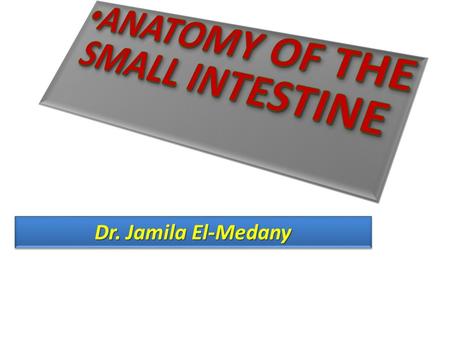 ANATOMY OF THE SMALL INTESTINE