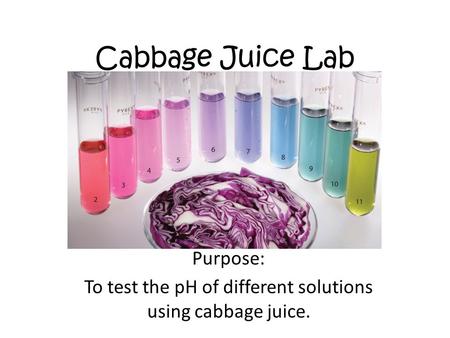 Purpose: To test the pH of different solutions using cabbage juice.